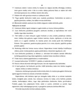 Diplomdarbs 'Uzņēmuma finanšu analīze', 59.