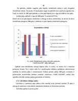 Diplomdarbs 'Uzņēmuma finanšu analīze', 67.