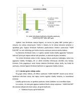 Diplomdarbs 'Uzņēmuma finanšu analīze', 70.