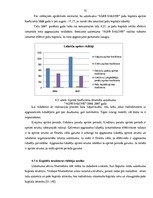 Diplomdarbs 'Uzņēmuma finanšu analīze', 74.