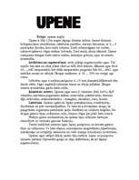 Referāts 'Upenes', 1.