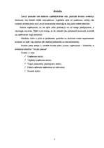 Biznesa plāns 'SIA "Virtuālā pasaule"', 3.