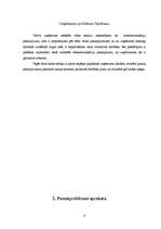 Biznesa plāns 'SIA "Virtuālā pasaule"', 6.