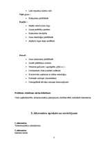 Biznesa plāns 'SIA "Virtuālā pasaule"', 8.