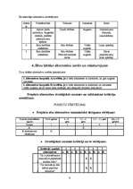 Biznesa plāns 'SIA "Virtuālā pasaule"', 9.