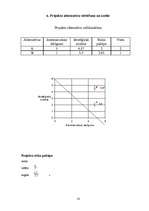 Biznesa plāns 'SIA "Virtuālā pasaule"', 14.