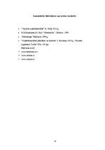 Biznesa plāns 'SIA "Virtuālā pasaule"', 19.