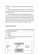 Referāts 'Reklāmas plāns nekustamo īpašumu katalogam "Kvadrātmetrs"', 6.