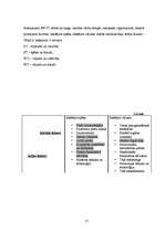 Referāts 'Reklāmas plāns nekustamo īpašumu katalogam "Kvadrātmetrs"', 17.