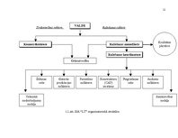 Diplomdarbs 'Uzņēmuma "LT" personāla vadības projekts', 11.