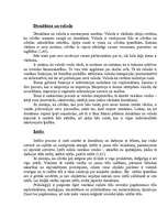 Referāts 'Personas psiholoģiskais raksturojums', 13.