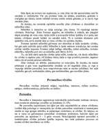 Referāts 'Personas psiholoģiskais raksturojums', 19.