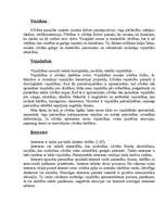 Referāts 'Personas psiholoģiskais raksturojums', 21.