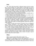 Referāts 'Personas psiholoģiskais raksturojums', 23.