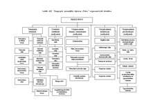 Referāts 'Uzņēmuma "X" darbības analīze un starptautiskās attiecības', 19.