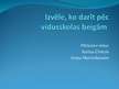 Referāts 'Izvēle, ko darīt pēc vidusskolas beigšanas', 13.
