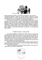 Referāts 'Fotogrāfija', 3.