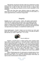 Referāts 'Fotogrāfija', 5.