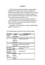 Referāts 'Fitoncīdi', 14.