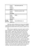 Referāts 'Fitoncīdi', 15.