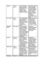 Referāts 'Fitoncīdi', 48.