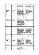 Referāts 'Fitoncīdi', 59.