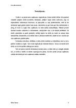 Referāts 'Darbinieku motivācija Latvijā', 8.