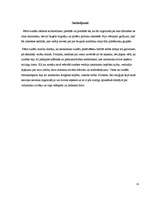 Referāts 'Garīgais un laicīgais cunfšu dzīvē', 13.