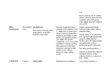 Konspekts 'Vīrusi', 3.