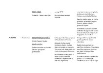 Konspekts 'Vīrusi', 5.