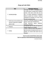 Referāts 'Karls Gustavs Jungs', 4.