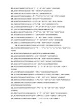 Referāts 'Fibonači skaitļi un zelta griezums', 17.