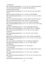 Referāts 'Fibonači skaitļi un zelta griezums', 18.