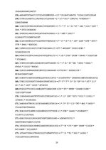 Referāts 'Fibonači skaitļi un zelta griezums', 19.