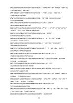 Referāts 'Fibonači skaitļi un zelta griezums', 20.