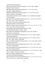 Referāts 'Fibonači skaitļi un zelta griezums', 21.