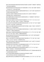 Referāts 'Fibonači skaitļi un zelta griezums', 22.