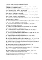 Referāts 'Fibonači skaitļi un zelta griezums', 23.