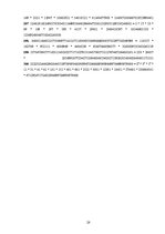 Referāts 'Fibonači skaitļi un zelta griezums', 27.