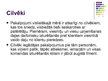 Referāts 'Mārketinga elementu komplekss uzņēmumā "Kolonna Hotel"', 40.