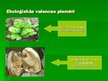 Prezentācija 'Ekoloģiskie faktori', 3.