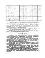 Konspekts 'Ekonomiskās darbības horizontālā un vertikālā analīze', 12.