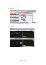 Referāts 'Is Forex Trading an Investment Opportunity?', 32.