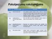 Prezentācija 'Biznesa plāna prezentācija ekonomikā, uzņēmējdarbībā', 6.