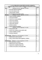 Referāts 'Konkurētspējas paaugstināšana SIA "X”', 24.