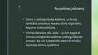 Prezentācija 'Attieksme un filosofija pret vidi', 7.