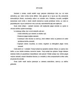 Referāts 'Peļņas veidi internetā', 3.