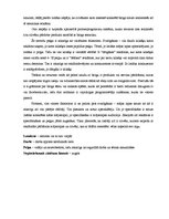 Referāts 'Peļņas veidi internetā', 13.