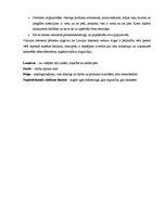 Referāts 'Peļņas veidi internetā', 21.