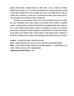 Referāts 'Peļņas veidi internetā', 23.